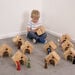 TTS Mini Wooden Cottage  hi\-res