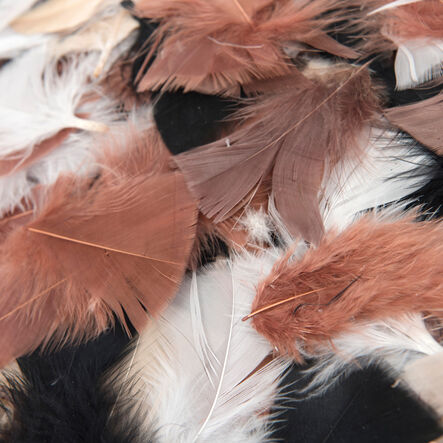 Feather Pack Assorted 78g  hi\-res