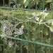 TTS Clear Acrylic Outdoor Nature Art Easel  hi\-res