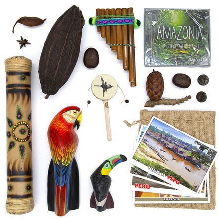 TTS The Rainforest Artefact and Books Resource Box  hi\-res