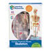 Learning Resources Complete Anatomy Models  hi\-res