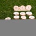 TTS CVC Wooden Frames  hi\-res