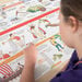 TTS Roman Artefact Collection KS2  hi\-res