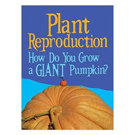 Accelerated Reader Non Fiction Books  hi\-res