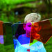 Jumbo Colour Mixing Shapes  hi\-res