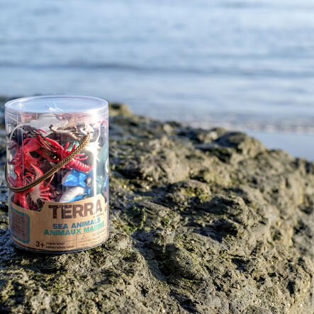 Sea Creatures 60pk  hi\-res