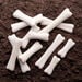 Discovery Dinosaur Bones  hi\-res