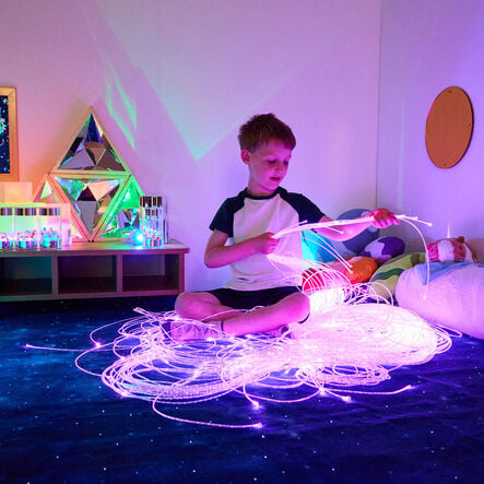 Fibre Optics and Light Source Kit  hi\-res