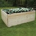 Raised Outdoor Grow Bed  hi\-res