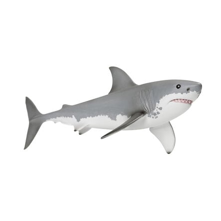 Detailed Small World Sea life Collection  hi\-res