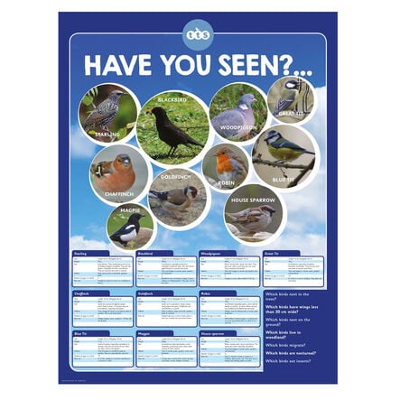 TTS Identifying British Birds Playground Sign  hi\-res