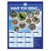 TTS Identifying British Birds Playground Sign  hi\-res