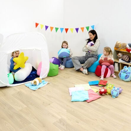 TTS Calming Kittens and Calming Cat Regulation Collection 19pcs  hi\-res