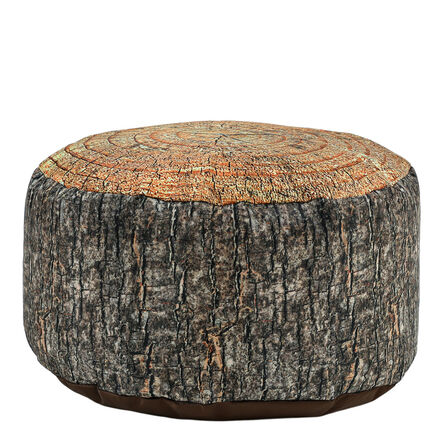 Learn about Nature Tree Stump Seat  hi\-res