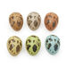 Sensory Egg Shakers  hi\-res