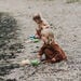 Natural Sand and Water Tool Set  hi\-res