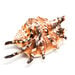 Basket of Sea Shells  hi\-res