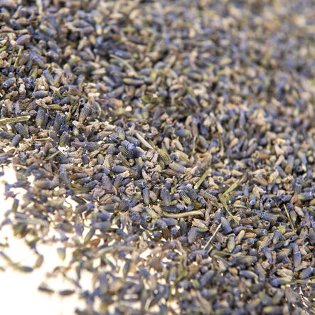 Dried Flowers Natural Collage Pack  hi\-res