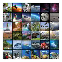 TTS Bee-Bot® Story Mat  TTS Bee-Bot® Story Mat  hi-res