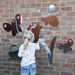 Mini Beasts Garden Outdoor Mirrors  hi\-res