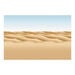 Bordette® Designs Display Paper Stockroom Assortment  hi\-res