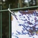 TTS Outdoor Immersive Environment Backdrop Autumn  hi\-res