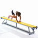 Niels Larsen Lita Lightweight Aluminium Gym Benches 2.4m  hi\-res