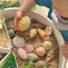 Yellow Door Ocean Play Sensory Stones Bundle 47pcs TTS Exclusive  hi\-res