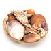 Basket of Sea Shells  hi\-res