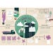 TTS STEAM 21st Century Learning Kit  hi\-res