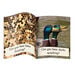 Letters \x26 Sounds Phonic Readers 12pk Phase 3 Fiction  hi\-res