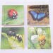 Insect Layered Life Cycle Jigsaws 4pk  hi\-res