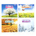 Seasons Book Pack  hi\-res