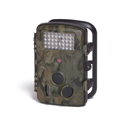 Time Lapse And Motion Activated Camera  hi\-res
