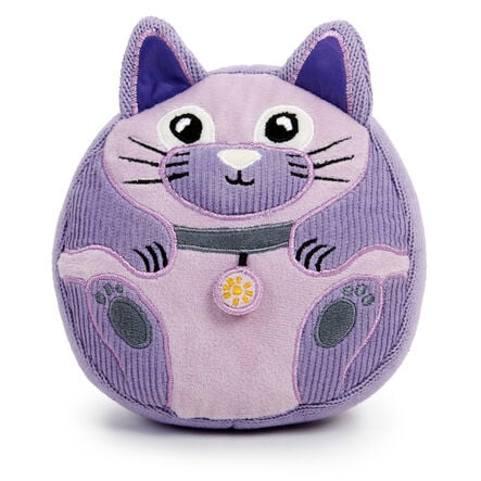 Calming Kittens and Activity Cards  hi\-res