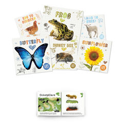Life Cycles Book Pack  Life Cycles Book Pack  hi-res