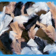 Craft Feathers 14g  Craft Feathers 14g  hi-res