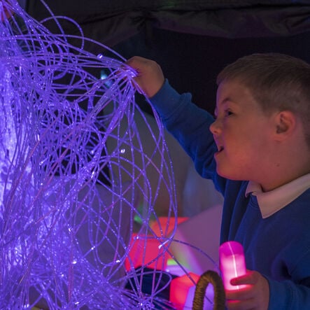 Fibre Optics and Light Source Kit  hi\-res