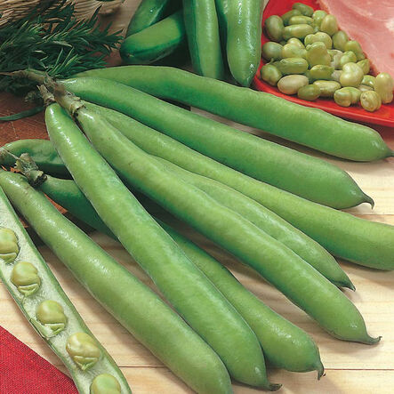 Vegetable Seed Collection  hi\-res
