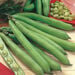 Vegetable Seed Collection  hi\-res