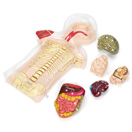 Healthy Living PSHE Activity Set  hi\-res