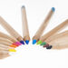 edugreen ECO Triangular Colouring Pencils 10pk  hi\-res