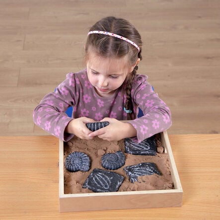 Sensory Fossil Replica Set 6pcs  hi\-res