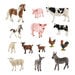 Detailed Parent and Babies Farm Animal Collection  hi\-res