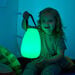 TTS Light up Lanterns  hi\-res