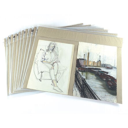 Pisces Transfile Transparent Portfolios  hi\-res