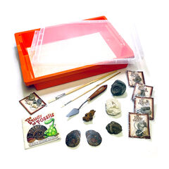 Fossils Archaeological Artefact Dig Kit  hi-res