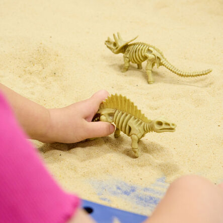 Small World Skeleton Fossil Dinosaurs 12pk  hi\-res