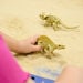Small World Skeleton Fossil Dinosaurs 12pk  hi\-res
