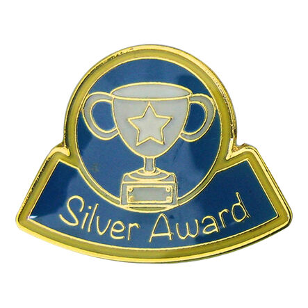 Enamel Gold Silver and Bronze Reward Pin Badges 30pk  hi\-res